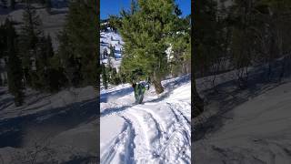 Last Practice for the Jackson Hole World Championship Hillclimb snowmobile arcticcat hillclimb [upl. by Mitran]