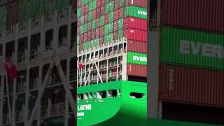 Container arrangement of Evergreen Ship  shorts containership logistics [upl. by Aneekan]