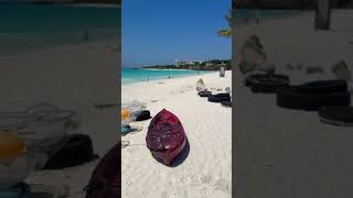 Nungwi Beach Zanzibar zanzibar tanzania africa travel vacation beach shorts viralshorts [upl. by Snook]