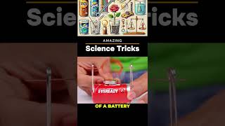 7 Amazing Science Tricks You Can Try at Home part2 [upl. by Leamaj]