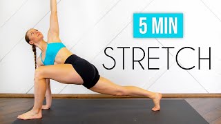 5 MIN DAILY STRETCH  An everyday full body routine for basic flexibility [upl. by Kcor]