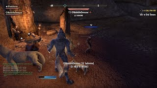 Elder Scrolls Online  How to turn another player into a Werewolf [upl. by Nekciv904]