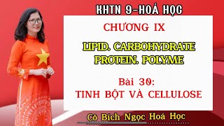 KHTN9 HÓA HỌC BÀI 30 TINH BỘT VÀ CELLULOSE hoacobichngoc hoa9 tinhbot cellulose [upl. by Koerner513]