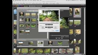 Nikon School  Elearning 1  View NX2 [upl. by Gnaw513]