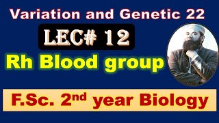 Biology chapter 22 Lecture No12 Rh blood Group system FSc 2nd Year [upl. by Amsaj437]