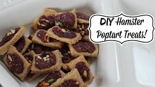 DIY Hamster Poptart Treats [upl. by Hayne]