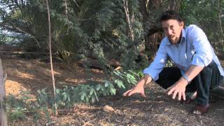 Greening the Desert Video  Parts I and II French Subtitles [upl. by Oneladgam]