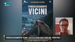 quotPericolosamente Viciniquot il regista Andreas Pichler quotEcco il film sugli orsi del Trentinoquot [upl. by Ahtnamas804]