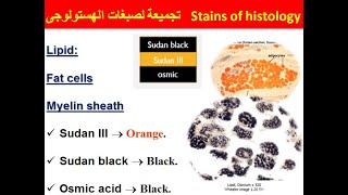 2020 Stains of histology تجميعة لصبغات الهستولوجى [upl. by Aklog]