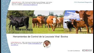 IDEXX SANIDADE BOVINA quotDetecção de Leucose bovina e seu Impacto nos Programas de Saúdequot [upl. by Ttehc865]