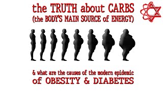 6 The truth about carbs [upl. by Keligot]