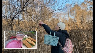 She picks berries after the frost and cooks them in the forest Part 37 VIBURNUM OPULUS ASMR [upl. by Yzus]