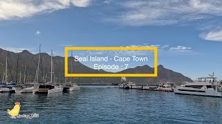 Episode 7 Seal Island Boat Trip Cape Town [upl. by Elohc600]