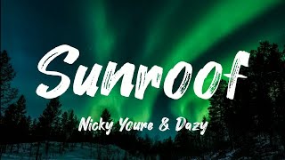 Nicky Youre amp Daze  Sunroof  Lyrics [upl. by Idalia35]