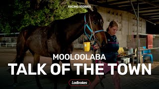 Georgie Holt and Moolooaba Are The Talk Of The Town Before The Townsville Cup [upl. by Atiuqrahs]