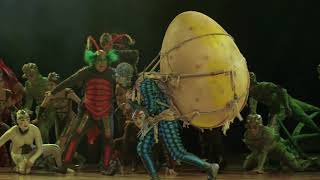 Cirque Du Soleil Chega ao Brasil com o espetáculo OVO [upl. by Larina]