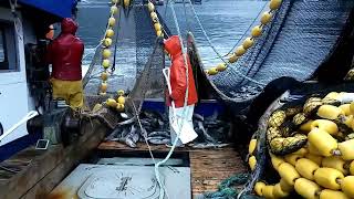 Commercial Fishing For Salmon Southeast Alaska Purse Seining [upl. by Derag]