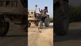 Tractor wale ne saanp dekh kar tractor rok lia [upl. by Macknair]