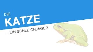 DIE KATZE – EIN SCHLEICHJÄGER  Biologie  Biologie der Tiere Mittelstufe [upl. by Heiner]