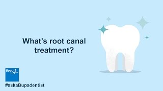 What is root canal treatment  Bupa Health [upl. by Ezequiel195]