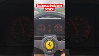 Challenges with my Ferrari Testarossa ferrrari testarossa ferrarilife youtubeshorts [upl. by Lisan]