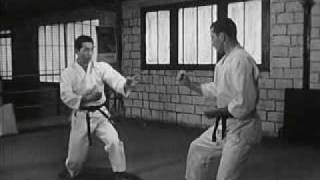 Karate 60s [upl. by Habeh109]