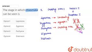 The stage in which chiasmata can be seen is [upl. by Niawd535]