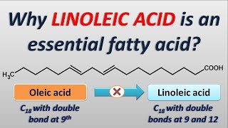 Why Linoleic acid is an essential fatty acid [upl. by Sallyanne]