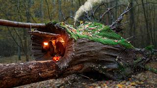 Building a Warm and Cozy Hollow for Survival in the root of a fallen spruce Secret cave Bushcraft [upl. by Notsa]