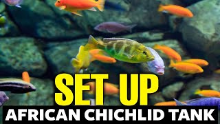 How To Setup An African Cichlid Tank 🐟 [upl. by Vowel759]