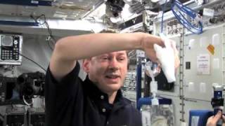 Life In Space Science Is Fun Onboard ISS [upl. by Ho]