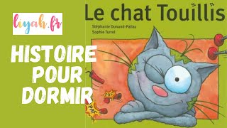 HISTOIRE POUR DORMIR  Le Chat Touillis [upl. by Iel252]