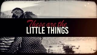 Stevie Hoang  Little Things Lyric Video [upl. by Anirac]