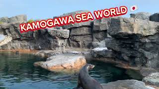 japanSEA WORLDpart3 [upl. by Ava538]