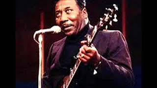 Muddy Waters feat Bill Wyman  Montreux Switzerland Casino 1977 [upl. by Llatsyrk]