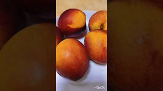 Nectarine fruit [upl. by Tadeo]