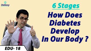 6 stages of Diabetes  How Type 2 Diabetes is converted into type 1 diabetes  Diabexy EDU 18 [upl. by Beryle]