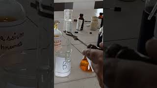 FeCl3 test of Phenol [upl. by Theresina]