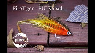 Fly Tying Beginner Predator Flies  Bonus FireTiger BULKhead [upl. by Ahseena]