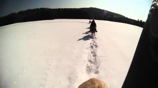 Ecurie des 4 Lacs3 jours de randonnée à cheval dans le Jura [upl. by Lunn361]