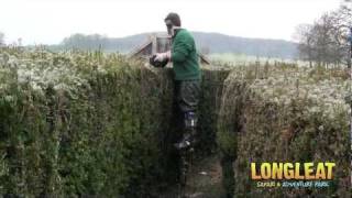 Longleat Maze Takes Hightech Approach to Hedge Trimming [upl. by Baggett]