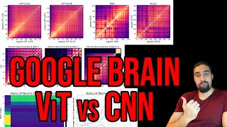 Do Vision Transformers See Like Convolutional Neural Networks  Paper Explained [upl. by Kenelm84]
