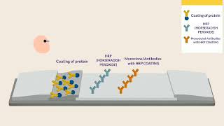 A new test kit to detect fecal coliforms and other microbiology contaminants [upl. by Arianna547]