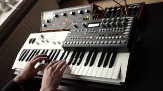 Arjen Schat  Living Room Session Analog Four amp Friends [upl. by Zack885]