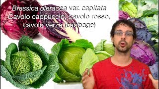 quotQuello che sorpassa ogni altro vegetalequot [upl. by Pelagi27]