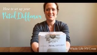 Petal Diffuser Doterra  How To Set Up My Diffuser  Setting up Doterra Diffuser [upl. by Acireit979]