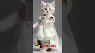 Cat frak Mae dance Kar Rahi ha Cat dance Ai video catsworld catworld lovelycat catwatch flyin [upl. by Zolly]