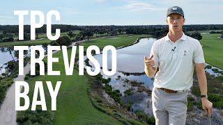 TPC Treviso Bay  Golf Course Review [upl. by Tomaso739]