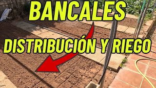 🌱Distribución de bancales y riego💧 [upl. by Dlorag]