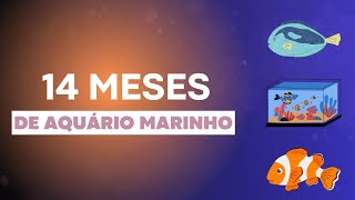 ✅14 Meses de Aquário Marinho [upl. by Kelci991]